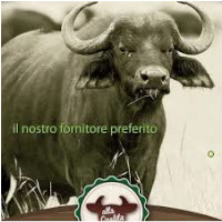 Casearia Sant'Antimo