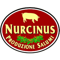 Nurcinus