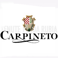 Carpineto