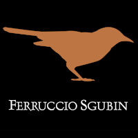 Ferruccio Sgubin