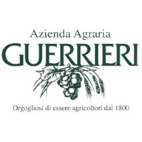 Guerrieri
