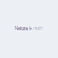 Natura in vetro