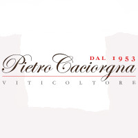 Pietro Caciorgna