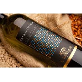Vino in offerta