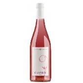 Vino in offerta