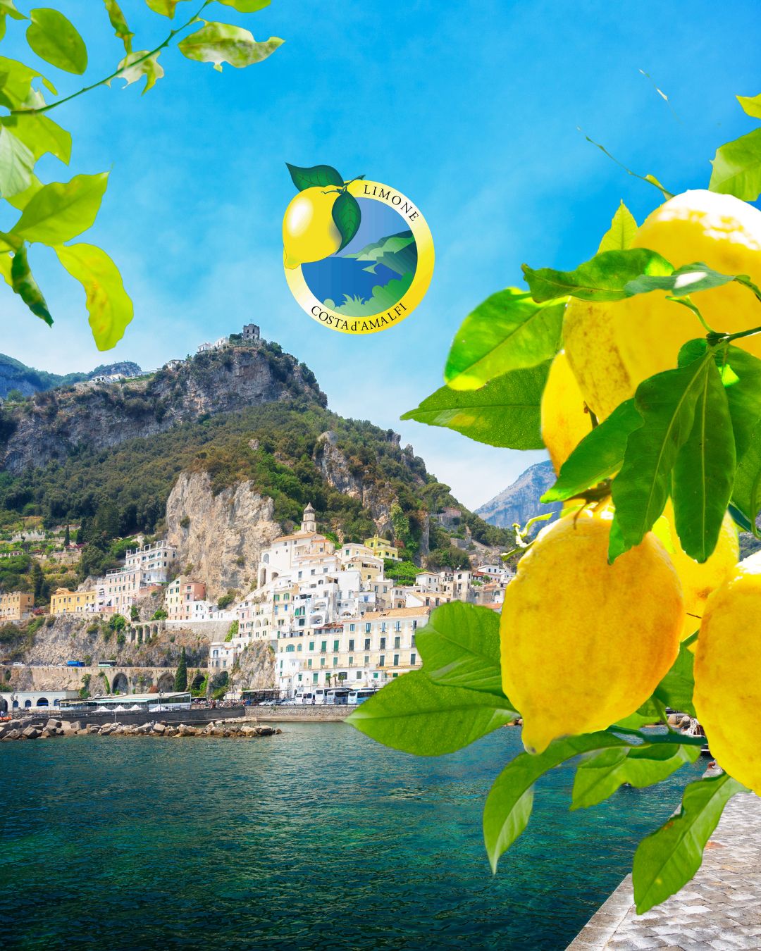Citrons d’Amalfi IGP, le Parfum de la Côte Amalfitaine Directement chez Vous